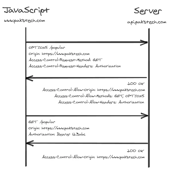 CORS preflighted request